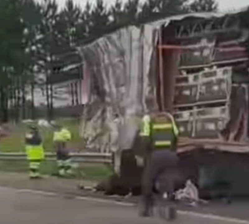 Acidente no Rodoanel em São Bernardo deixa cinco feridos