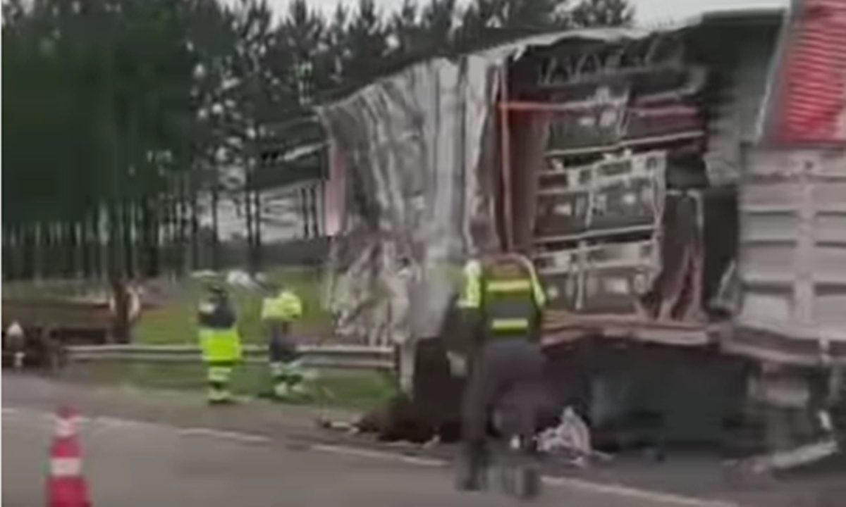 Acidente entre carreta de adubo e caminhão deixa cinco vítimas no Rodoanel, em São Bernardo