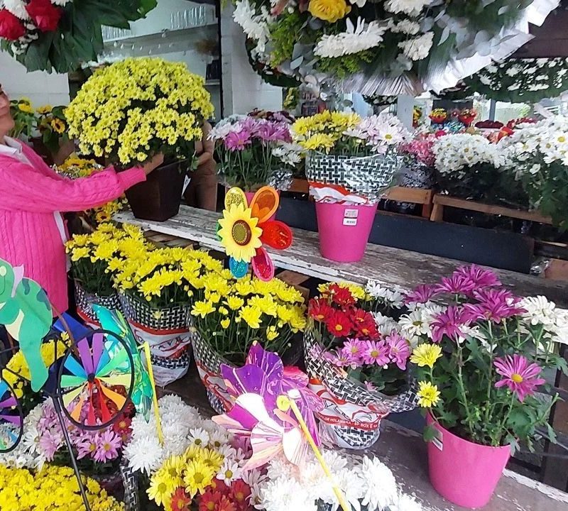 Floristas do Grande ABC esperam aumento de até 40% nas vendas para o Dia de Finados