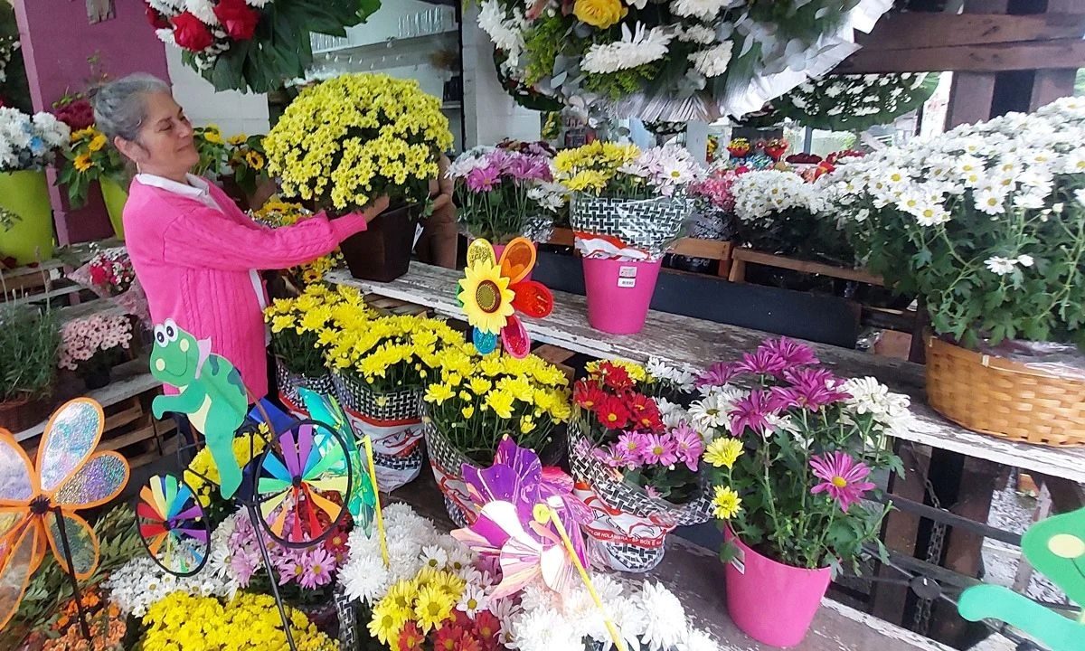 Floristas do Grande ABC esperam aumento de até 40% nas vendas para o Dia de Finados