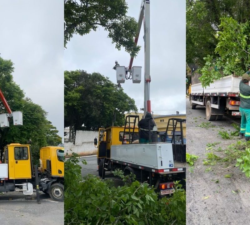 Mauá intensifica poda no Jardim Santa Lídia para segurança urbana