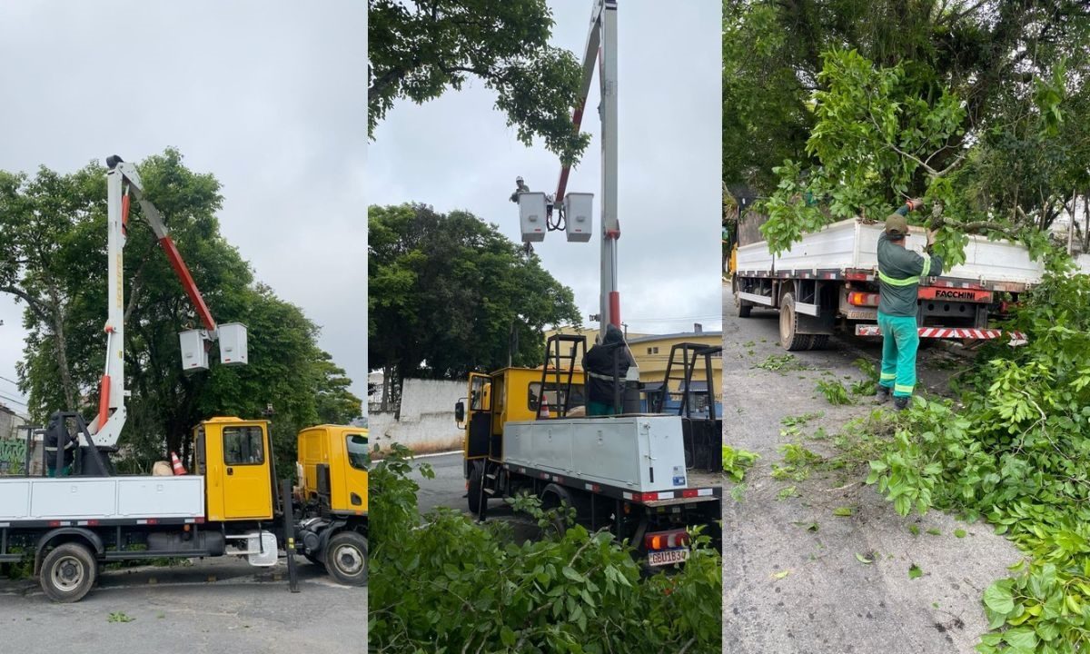 Mauá intensifica poda no Jardim Santa Lídia para segurança urbana